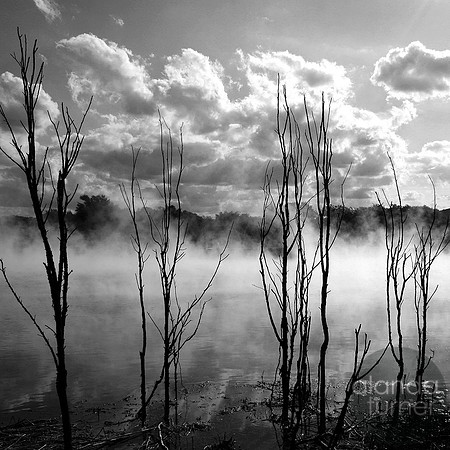 Misty Lake Square BW