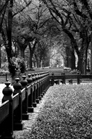 Central Park BW