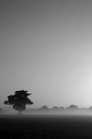Dawn Haze BW