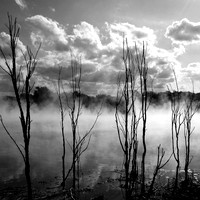 Misty Lake Square BW